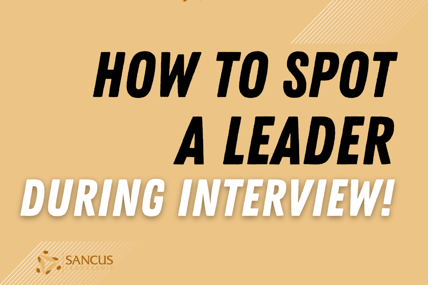 Testing Leadership Skills in interview: Red Flags, Questions!