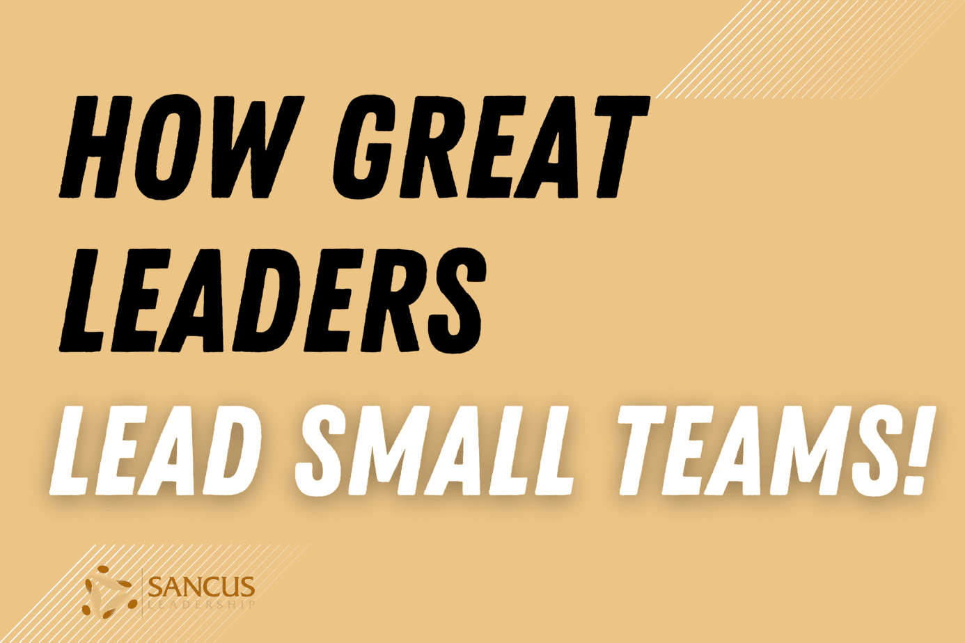 How Great Leaders Lead Small Teams