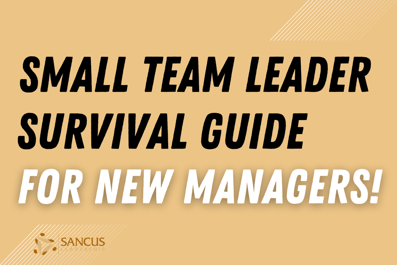 Small Team Leader Survival Guide For New Managers